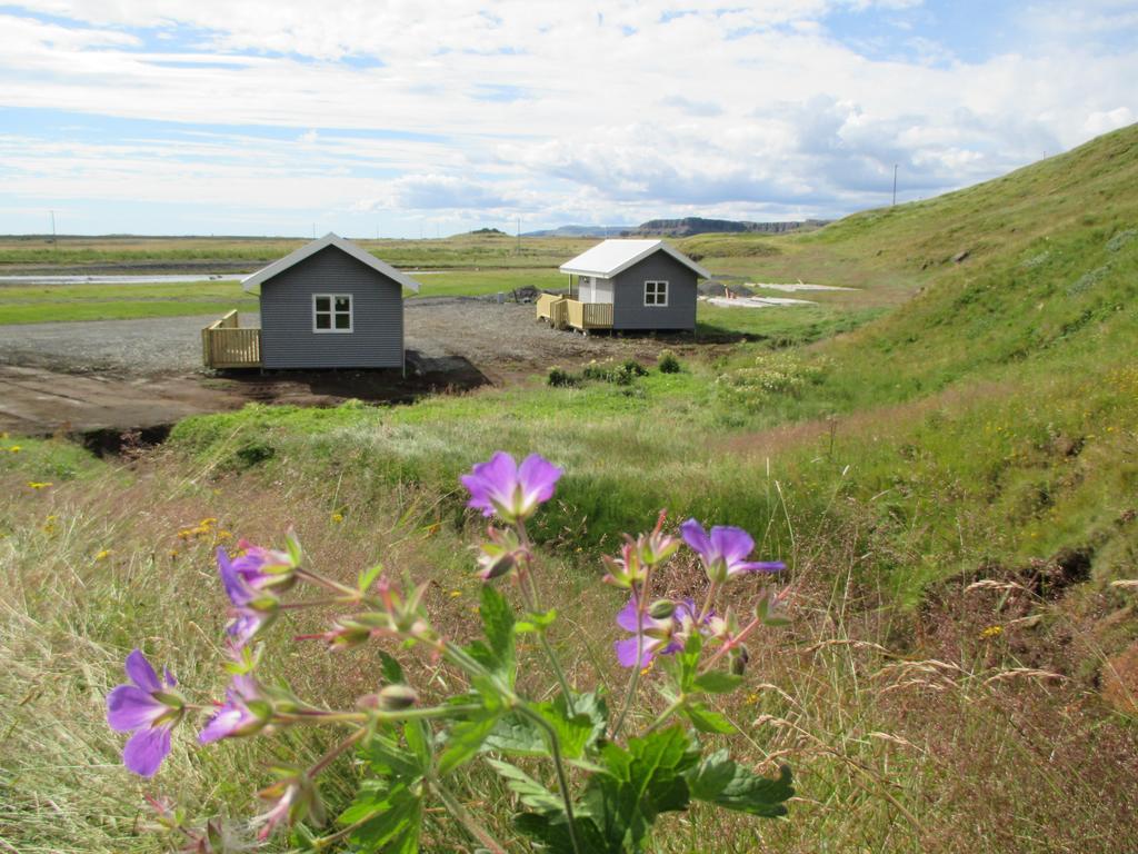 Laekjaborgir Guesthouse Kálfafell Kamer foto